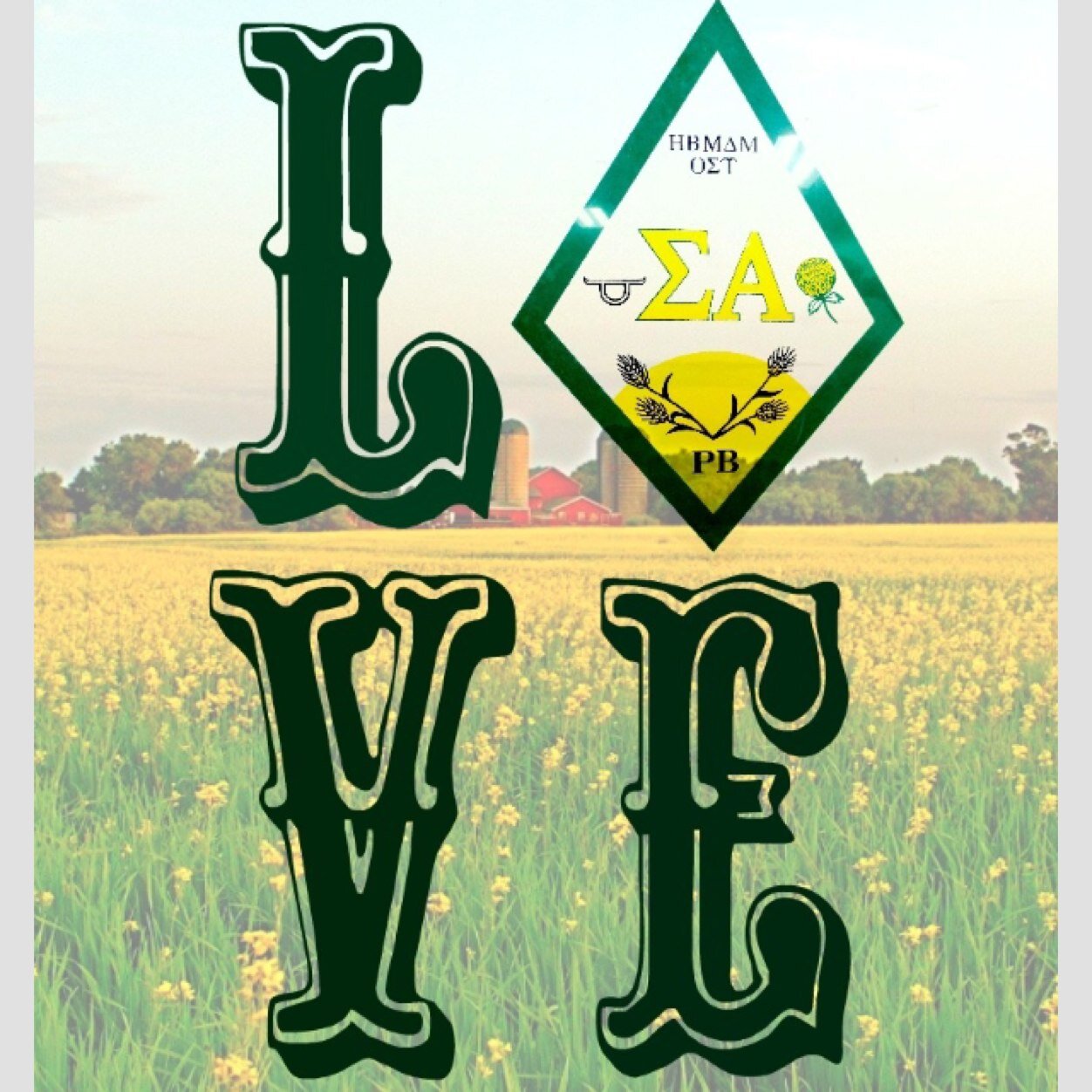 Official twitter page of the Alpha Eta chapter at Stephen F. Austin • Sisters in Agriculture since 1978 • Scholarship, leadership, service, and fellowship •