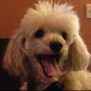 Aaron Clingerman 🦀 - @ClingerDawg - Twitter