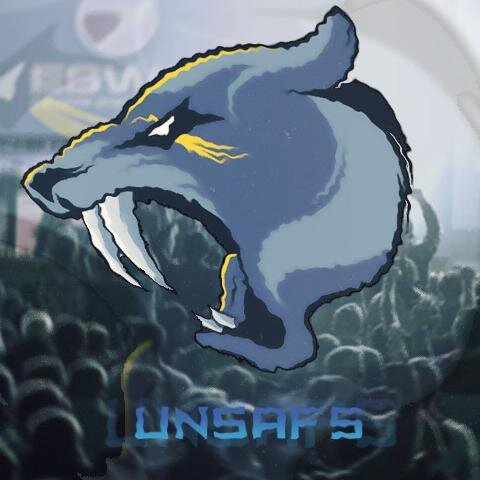 Team Unsafs