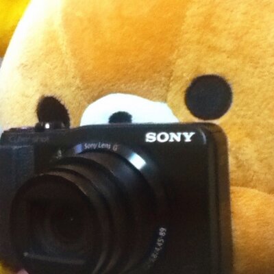 ぬくぬこ