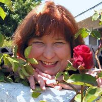 Anne R. Allen (@annerallen) 's Twitter Profile
