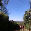 Selma Jansen - @JansenSelma - Twitter