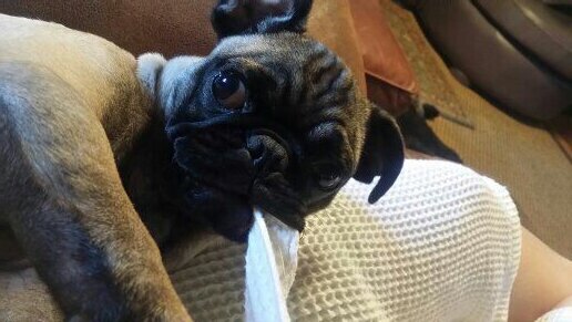 tawessler's profile picture. 