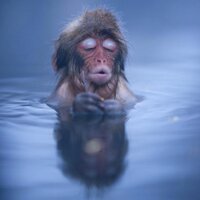 Mr. Joy (@inigoalegria) 's Twitter Profile Photo