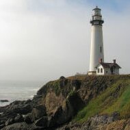 fogiwkx's profile picture. 