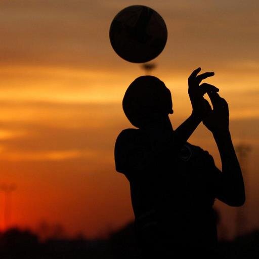 The official Twitter account of Premium Sport Tours FIFA World Cup Brazil 2014 Tour, hosted by the Four Diegos.
