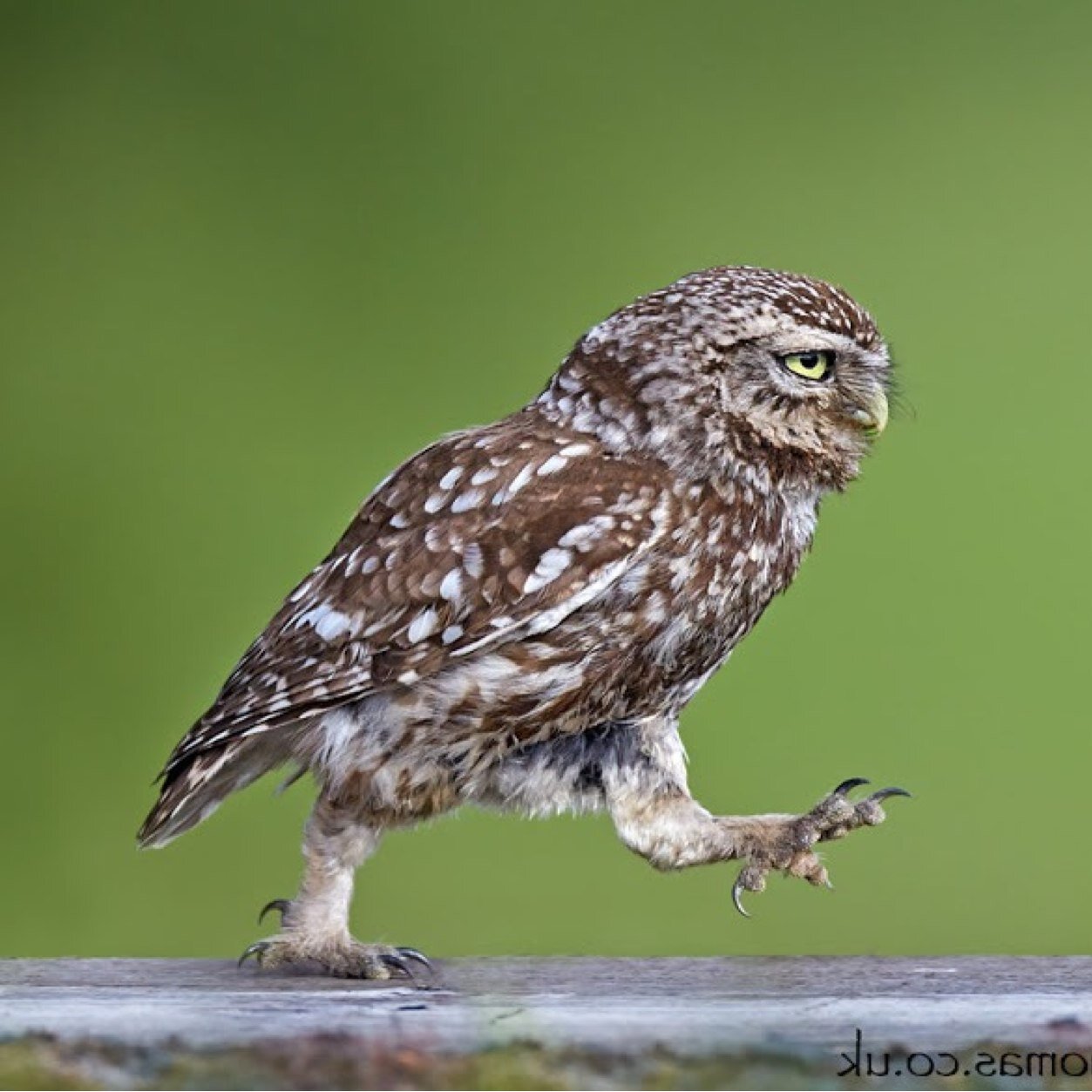 iRunHap's profile picture. 