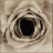 fyfamaqocova's profile image