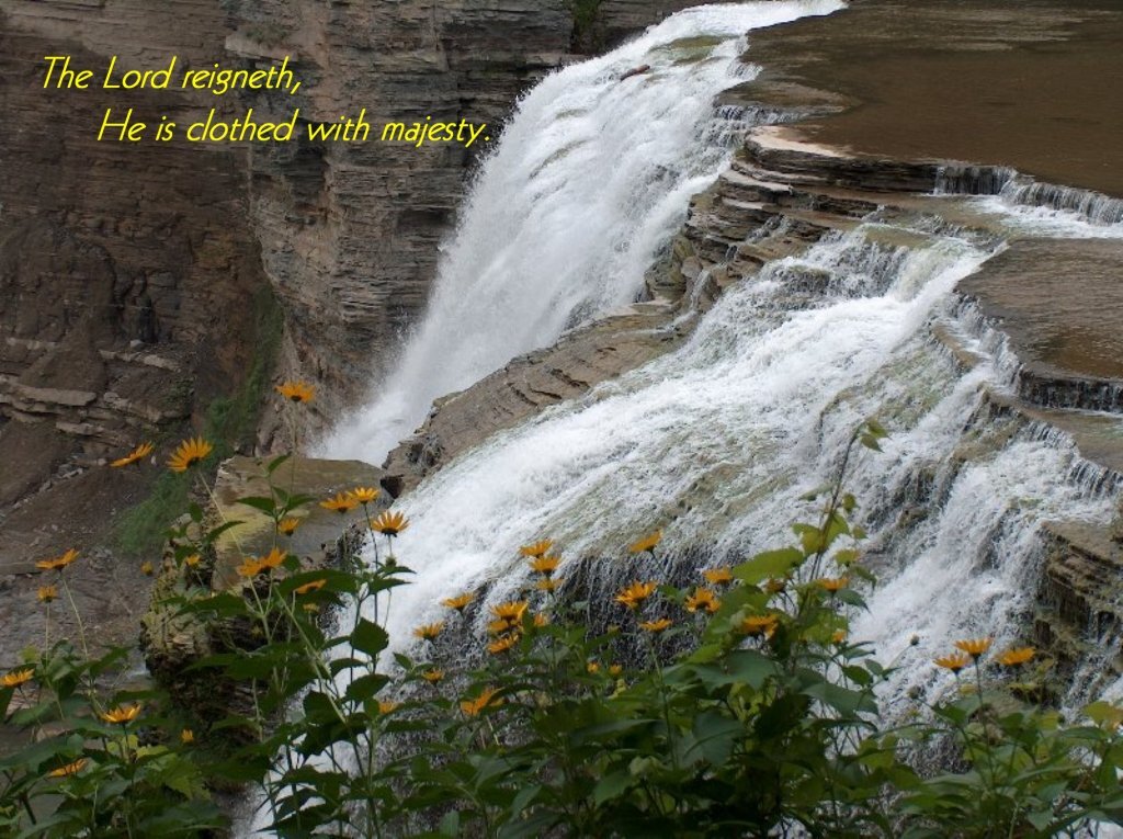 BibleVerse249's profile picture. Your Daily Bible Verses