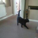 Jenny Cain - @JennyCain15 - Twitter