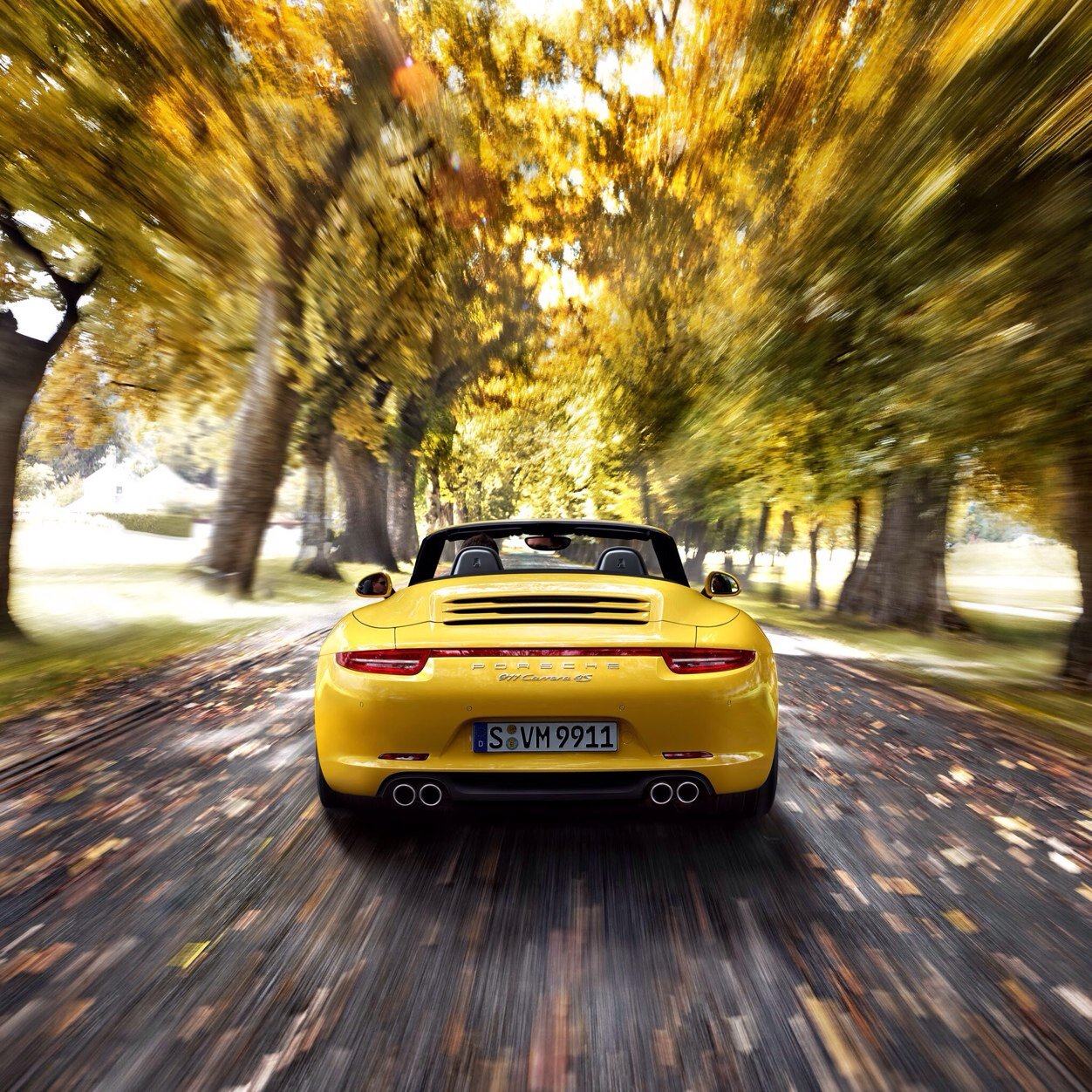 LJinBai's profile picture. 