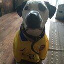 Peter stokes - @stokesEC1 - Twitter