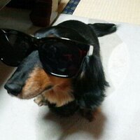 たむけん＠BeatBox＠四池家 (@tamutamu_0429) 's Twitter Profile