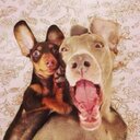 michelle shears - @ShearsSs - Twitter