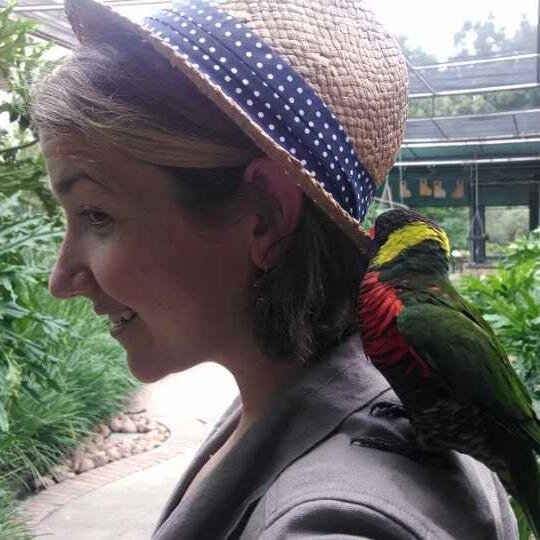 Engineer turned science teacher, lost in China