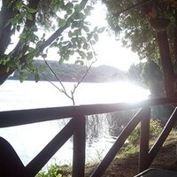 Javiera Suarez (@suarez_javiera) 's Twitter Profile