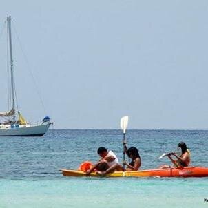 The official Camotes Island page providing news, information and insight for tourists and residents.