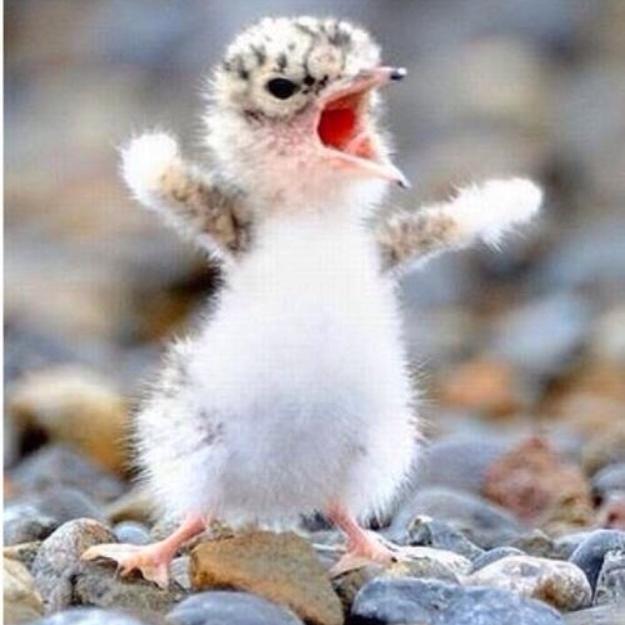 PamThatcher's profile picture. 