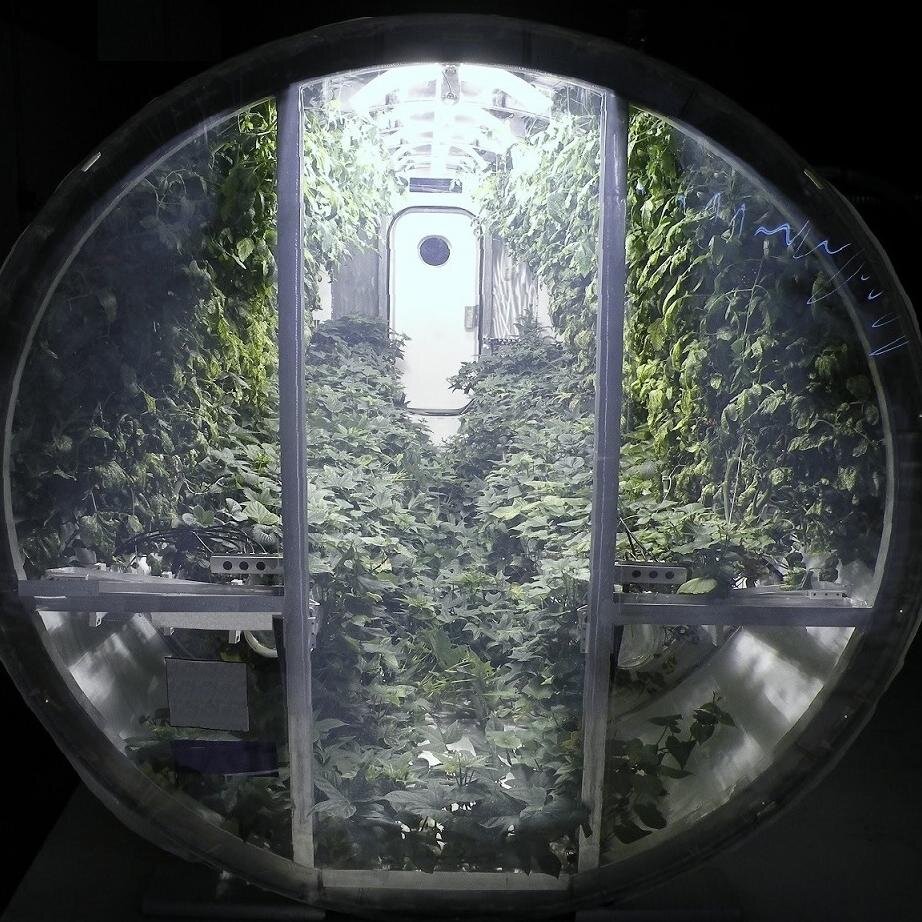 AgrospaceConf's profile picture. The Agrospace Conference links Agrotechnologies and Life Support Systems for space missions, sharing significant technological, social and market synergies.