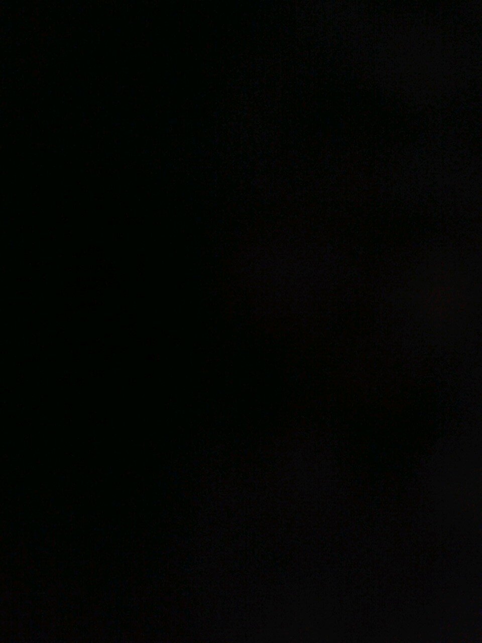 tim_hoogveld's profile picture. 