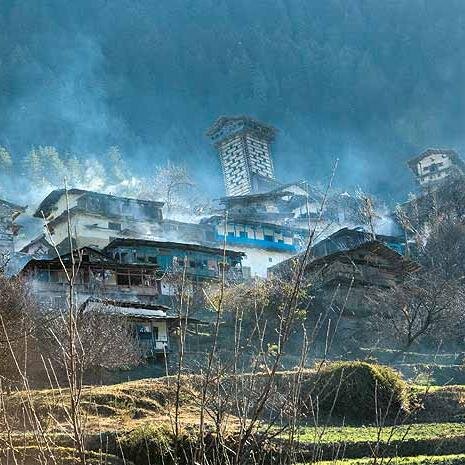 dpndr14's profile picture. 