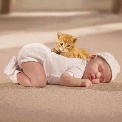 mhhamd58's profile picture. أنا مسلم حر لا أعترف بالحدود الجغرافية ببلاد المسلمين فالمسلمين كلهم أخوتي بكل بقاع الأرض