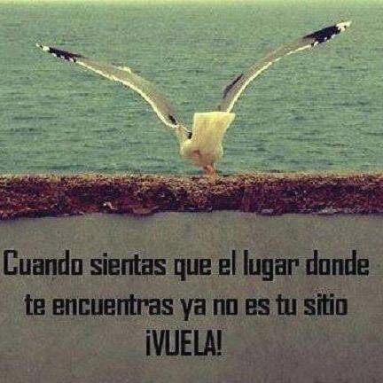 Pacifista! Ecologista pero la de verdad!  Animalista!  Alérgica a la codeína y a la elite corrupta y vendida! No a la agenda perversa!
SAPERE AUDE!