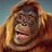 HorseBoxHero's profile image
