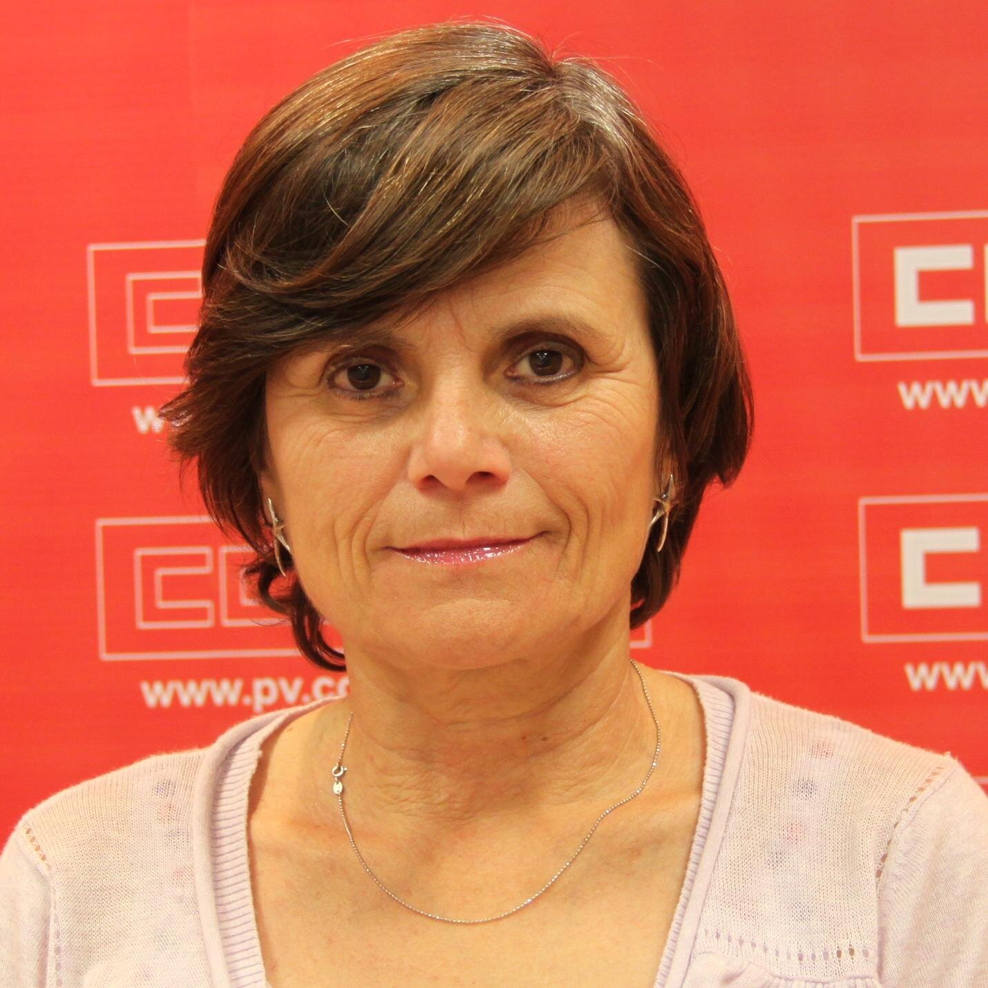Sindicalista de CCOO PV