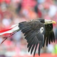 Baran Zehra Bozkurt (@baranb) 's Twitter Profile Photo