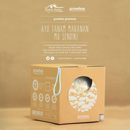 Jamur Tiram Growbox makanan yang bisa ditanam sendiri & for order sms : 085777270205