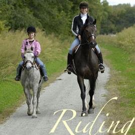 A small, friendly riding school catering for children and adults of all ability levels.