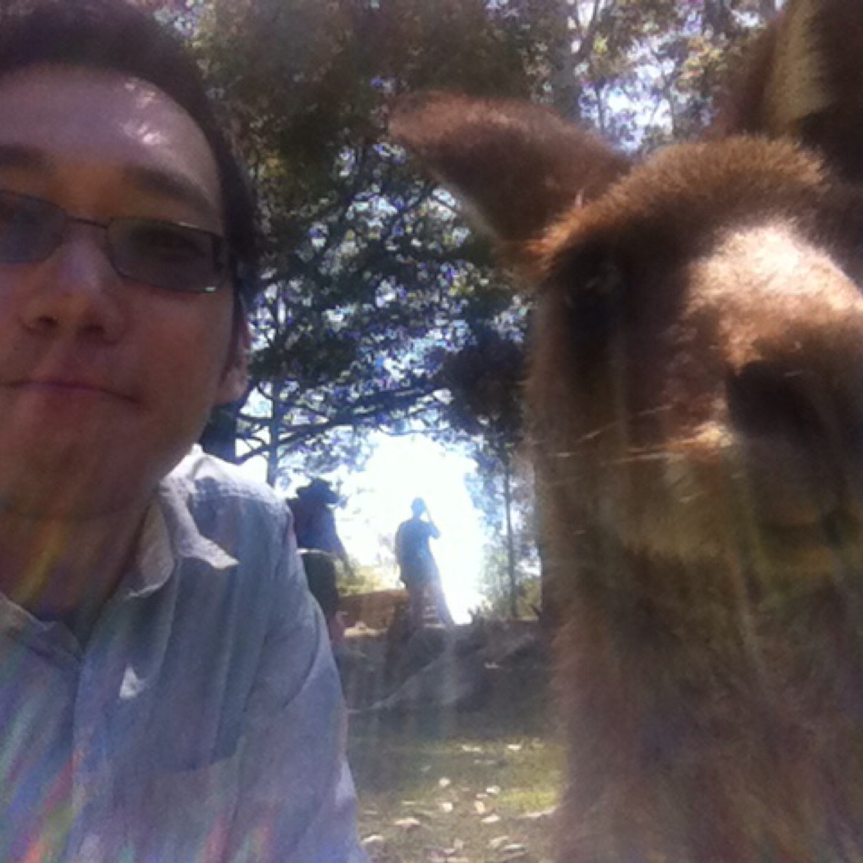 lukayoungmin's profile picture. 🎗remember 416 #sewol #평화의소녀상 #평화통일