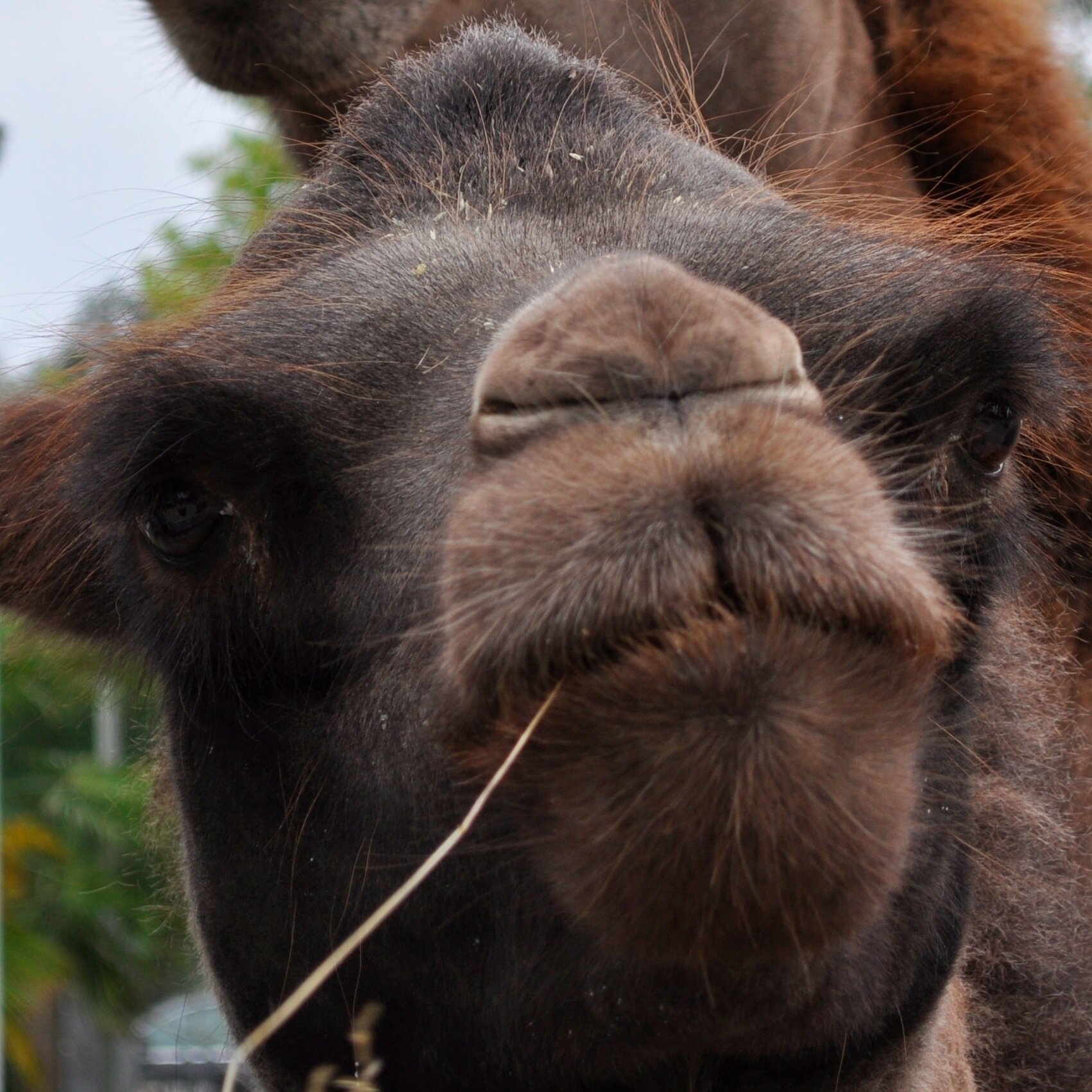 JeanneDorte's profile picture. 