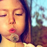 ceokimty's profile picture. CEO..Green enterprise, Venture business