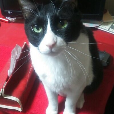 TKB👾🖥️ (@catpunchgiftset) / Posts / X