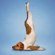 tjurek51's profile picture. 