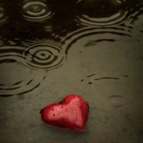 Abdullah100Apml's profile picture. ماقلت لك عمر سيف العش مايقتلك ماتشوفني حي قدام وانا ميت فيك (فولو مي...فولو باك)