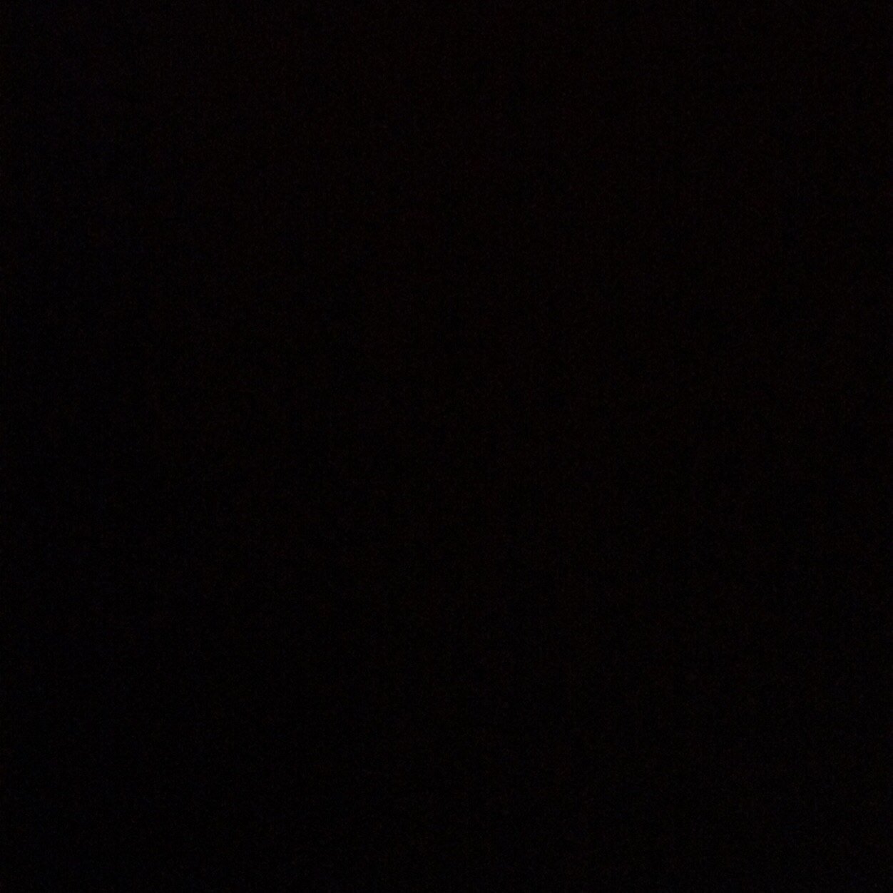 335555  ..