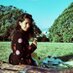 Vanita Prasad (@vanitaprasad) Twitter profile photo