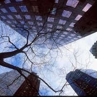 PaulGillisphoto (@paulgillisphoto) 's Twitter Profile
