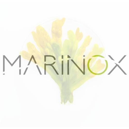 Marinox is an innovation company located in Iceland, specializing in the extraction of bioactives from marine algae.