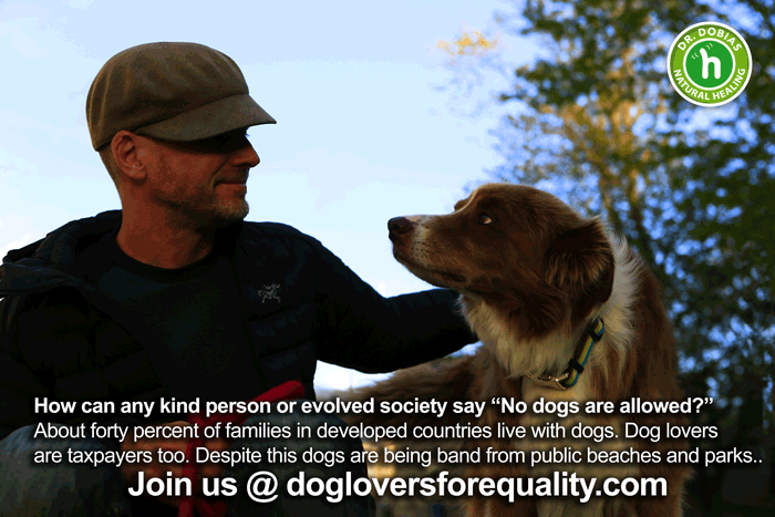 We are dog lovers who believe in equality of dog families and those who do not live with dogs.