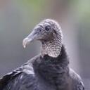 Jack Kolar - @jackoolair - Twitter