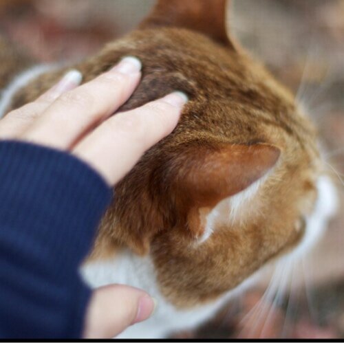 環さんのプロフィール画像