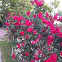 whitehouse (@dhkd1444) 's Twitter Profile