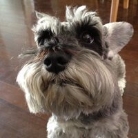 とも (@ghtalent) 's Twitter Profile