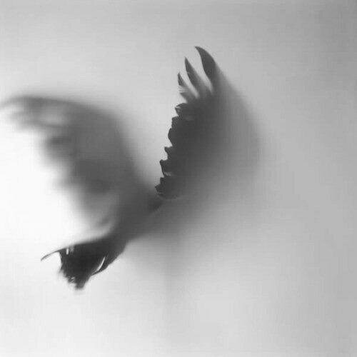 hdoO883's profile picture. كبريائي يقولّ لى دائماٌّ مادامٌ هناك في السماءٌ من يحمينيّ ف’ ليس هن في الارض من يكسرنيٌّ