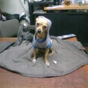 melba gomez zuluaga - @traivilmente - Twitter