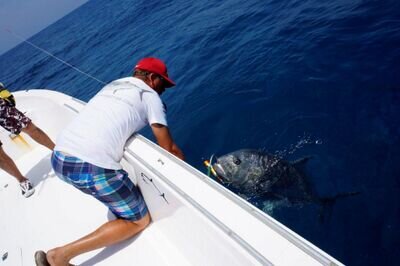 Topwater Fishing guide working the Indian Ocean